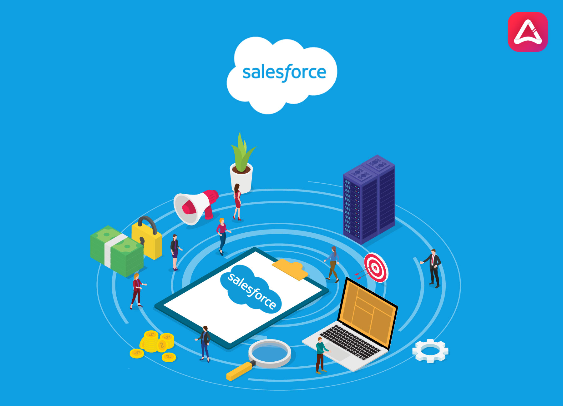 Salesforce Application